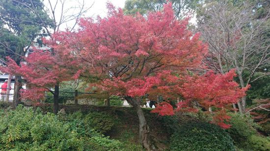 【画像】旅行行けなくて淋しいから適当にスマホに残ってる旅先の画像上げてく_34359738367