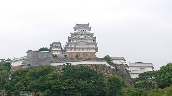 【画像】旅行行けなくて淋しいから適当にスマホに残ってる旅先の画像上げてく_281474976710655