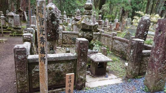 【画像】旅行行けなくて淋しいから適当にスマホに残ってる旅先の画像上げてく_2305843009213693951